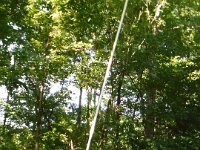 Luau (49) : Cancun 2016 June